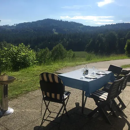 Apartment Bayerischer Wald Hallenbad, Pool Sauna Skipiste Hauzenberg